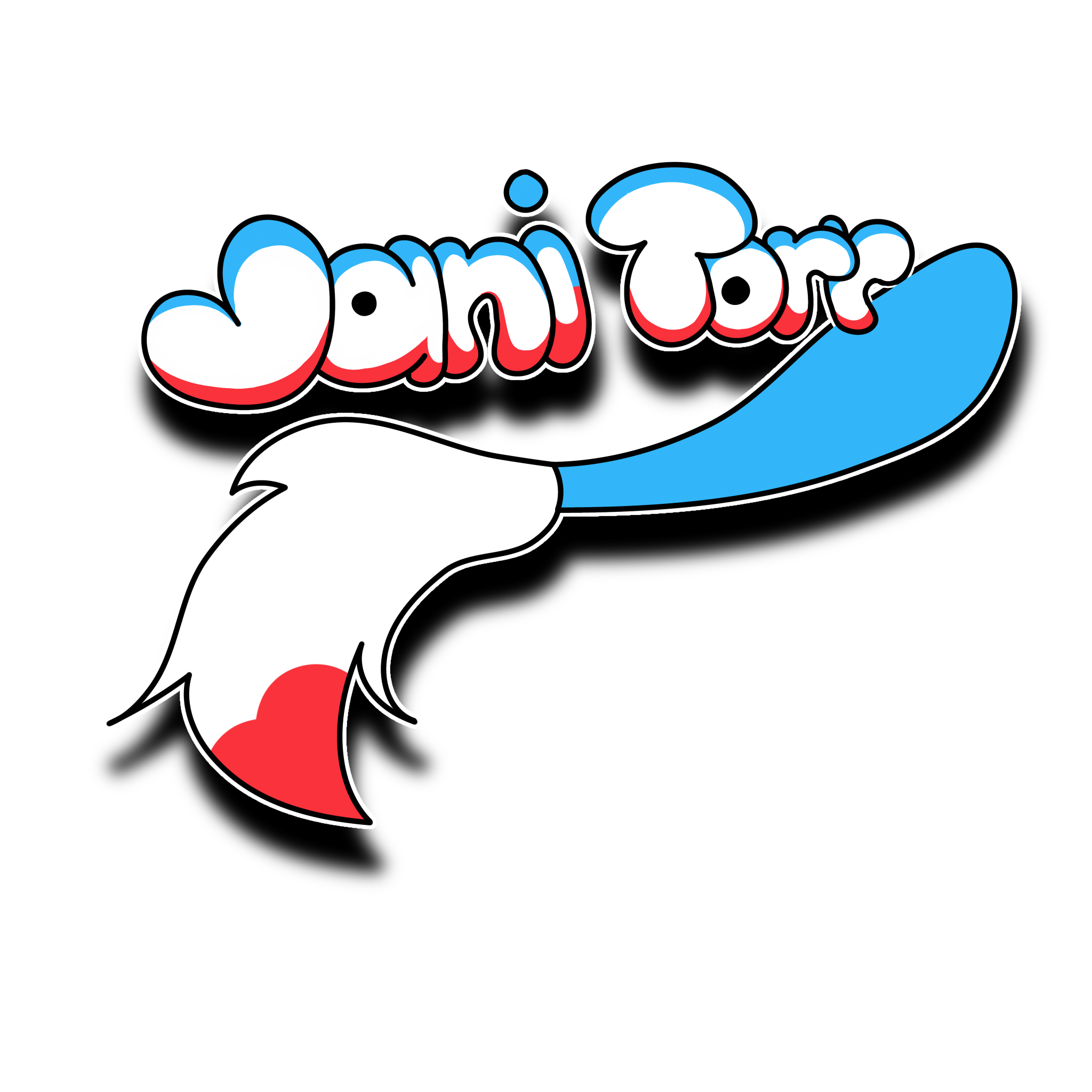 Jani Torr